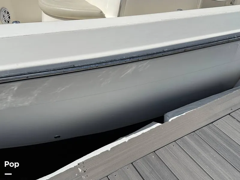 Slide: The Image of Cobia 237 CC 2023 - 15329324