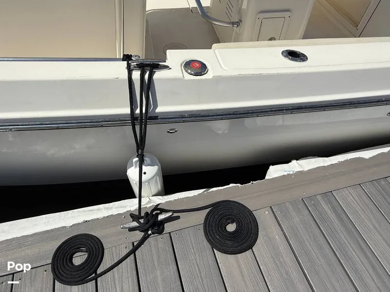 Slide: The Image of Cobia 237 CC 2023 - 15329325