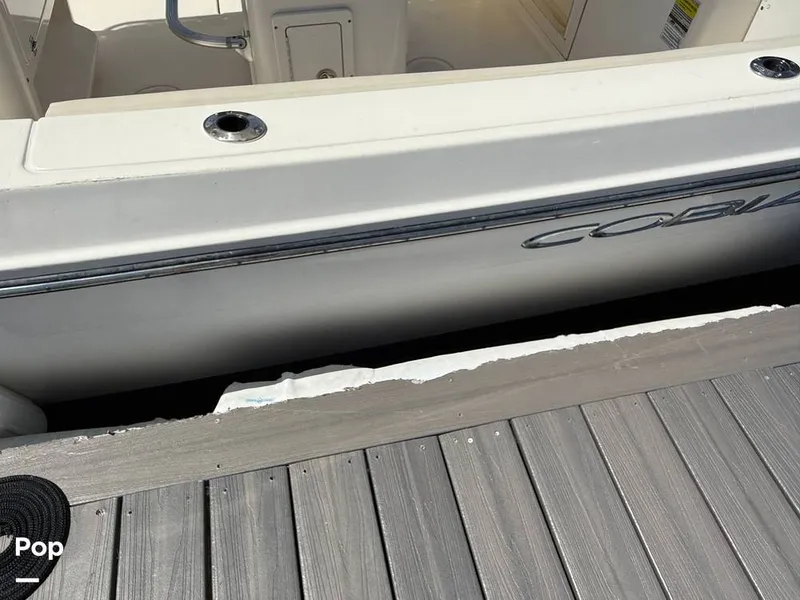 Slide: The Image of Cobia 237 CC 2023 - 15329326