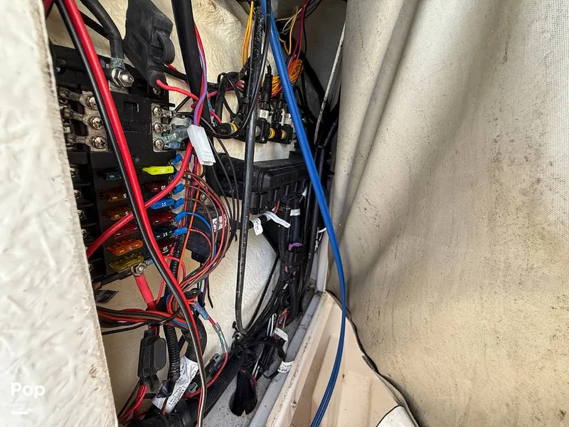 Slide: The Image of Trophy T24CC 2023 - 15361698