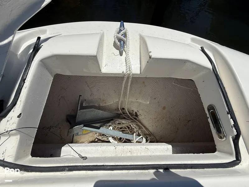 Slide: The Image of Trophy T24CC 2023 - 15361705