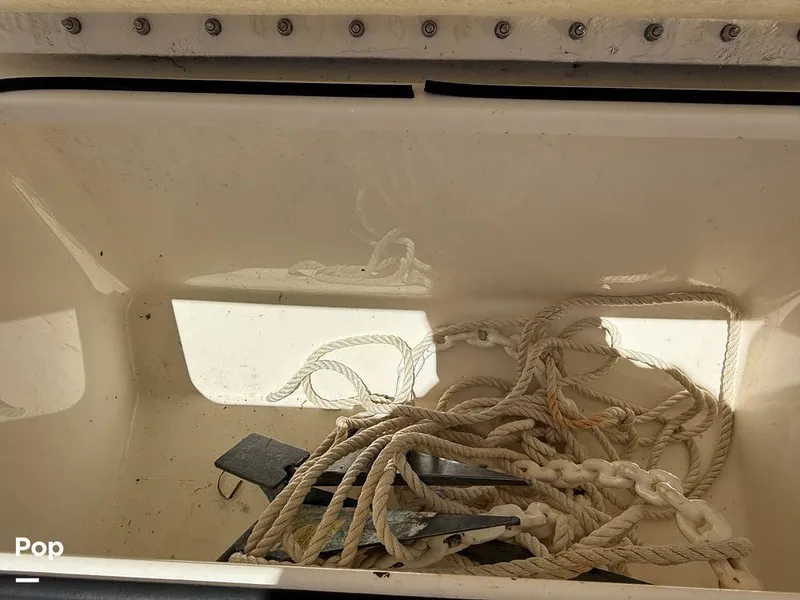 Slide: The Image of Trophy T24CC 2023 - 15361710