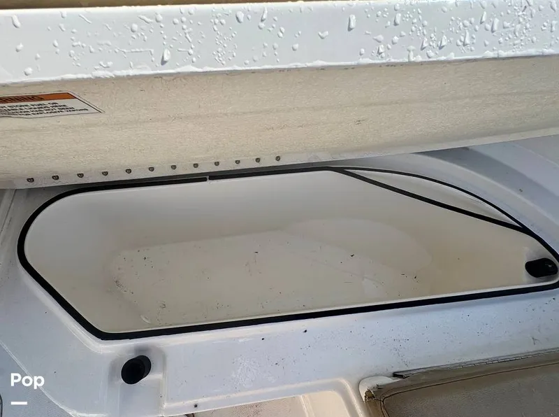 Slide: The Image of Trophy T24CC 2023 - 15308376