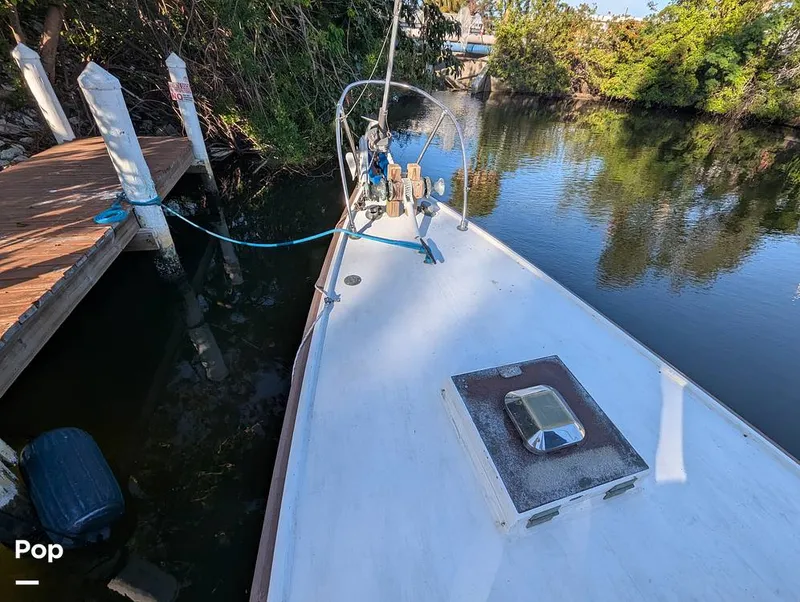 Slide: The Image of Herreshoff Meadowlark 37 1978 - 15340196