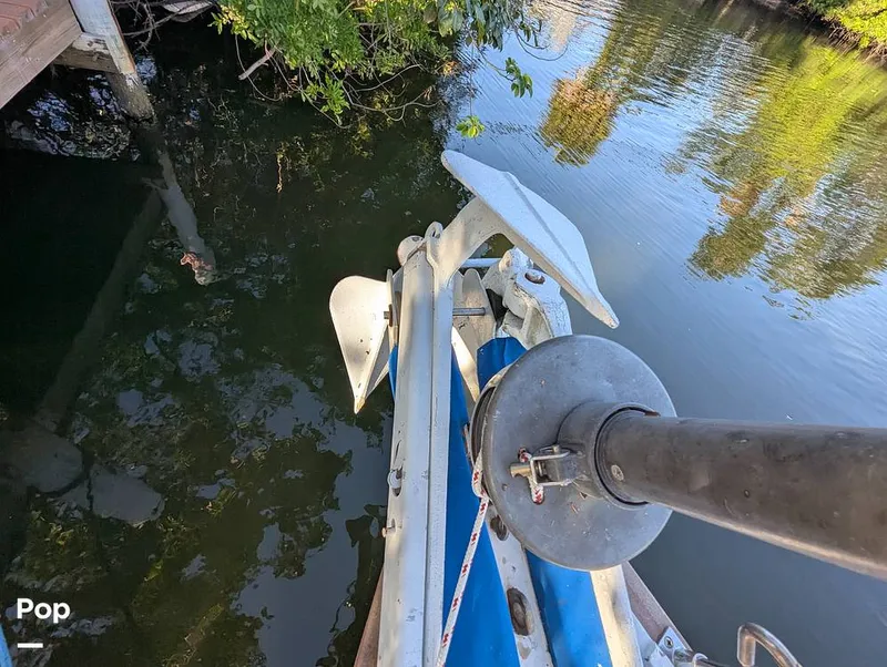 Slide: The Image of Herreshoff Meadowlark 37 1978 - 15340285