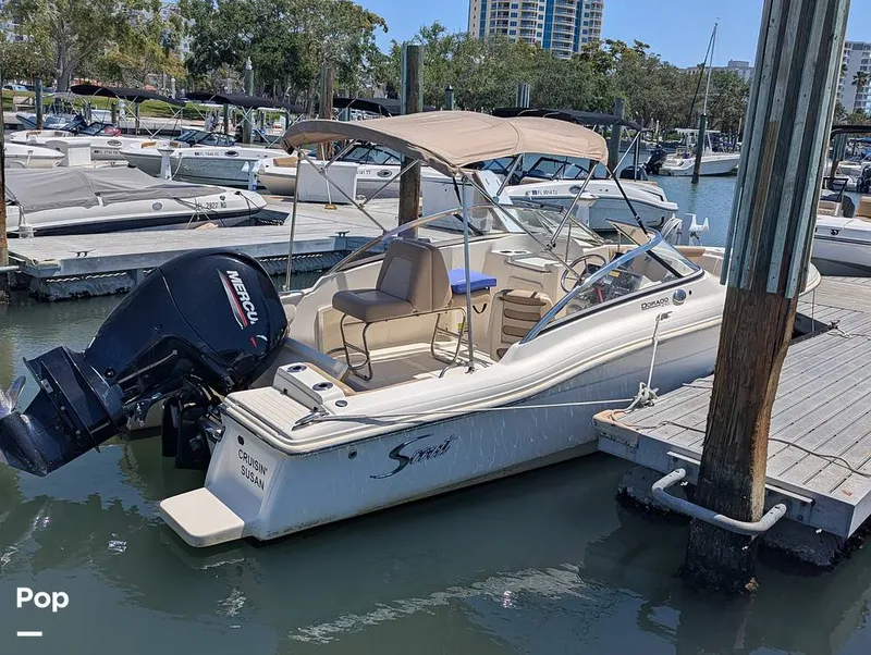 The Image of Scout 210 Dorado 2022 - 15334308