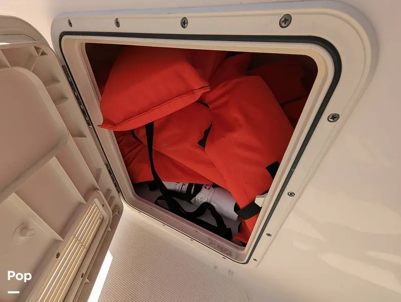 Slide: The Image of Scout 210 Dorado 2022 - 15334433