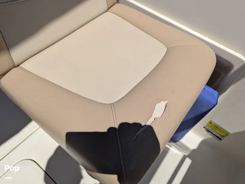 Slide: The Image of Scout 210 Dorado 2022 - 15334438