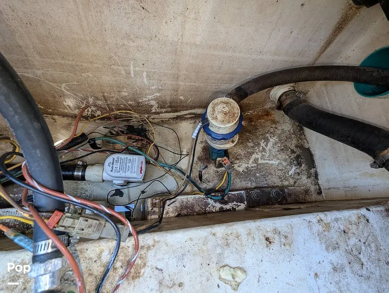 Slide: The Image of Scout 210 Dorado 2022 - 15334537