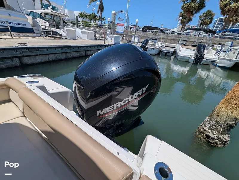 Slide: The Image of Scout 210 Dorado 2022 - 15334540