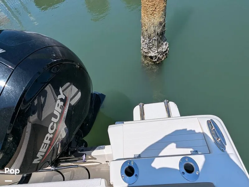 Slide: The Image of Scout 210 Dorado 2022 - 15334542