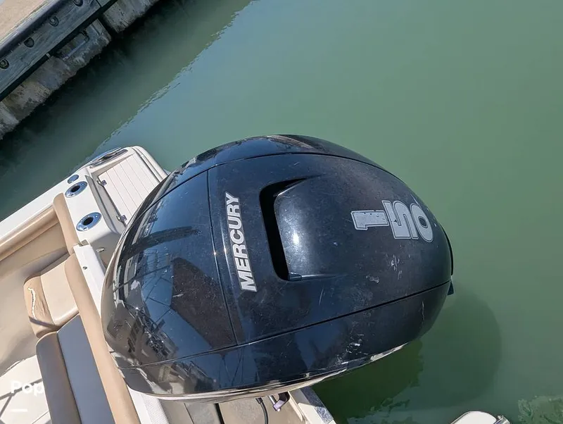 Slide: The Image of Scout 210 Dorado 2022 - 15334545