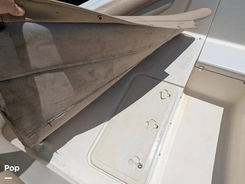 Slide: The Image of Scout 210 Dorado 2022 - 15334548