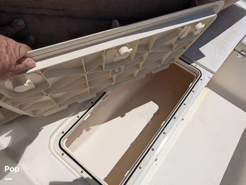 Slide: The Image of Scout 210 Dorado 2022 - 15334549