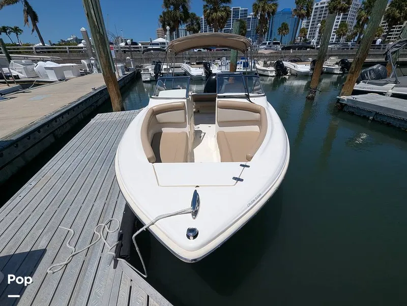 Slide: The Image of Scout 210 Dorado 2022 - 15334634