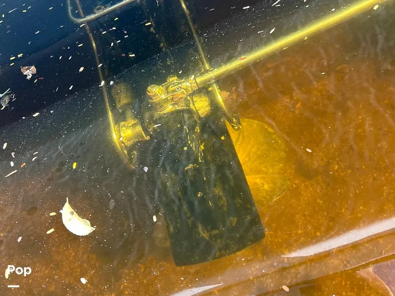 Slide: The Image of Formula 37 2003 - 16213219