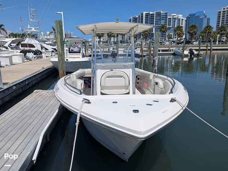 Slide: The Image of Sailfish 242 CC 2022 - 15344309