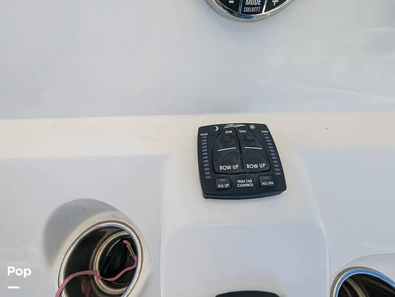 Slide: The Image of Sailfish 242 CC 2022 - 15344328