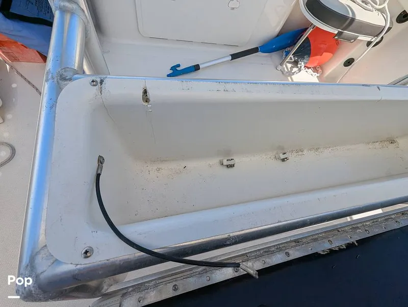 Slide: The Image of Sailfish 242 CC 2022 - 15344334