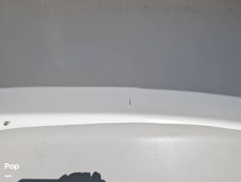 Slide: The Image of Sailfish 242 CC 2022 - 15344340