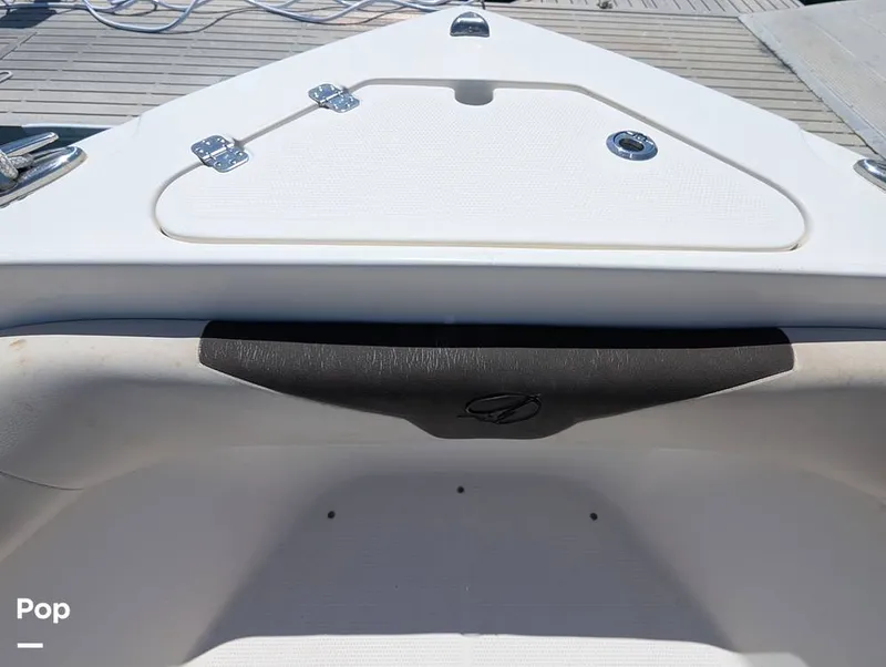 Slide: The Image of Sailfish 242 CC 2022 - 15344342