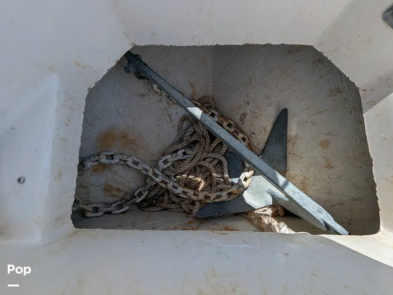 Slide: The Image of Sailfish 242 CC 2022 - 15344344