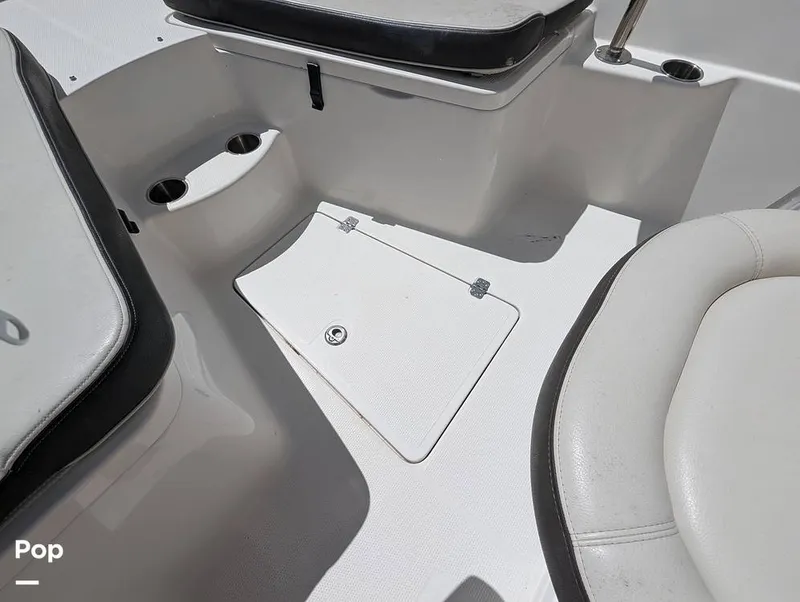 Slide: The Image of Sailfish 242 CC 2022 - 15344347