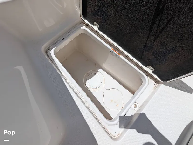 Slide: The Image of Sailfish 242 CC 2022 - 15344349