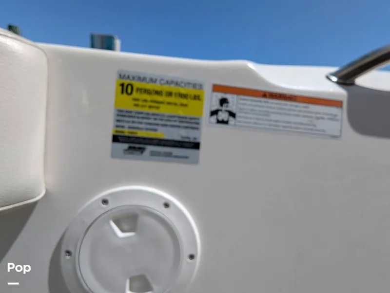 Slide: The Image of Sailfish 242 CC 2022 - 15344458