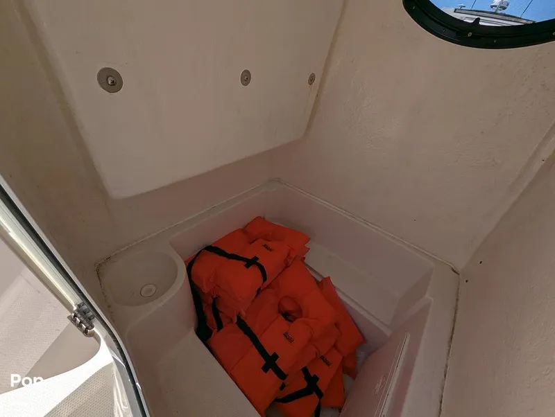 Slide: The Image of Sailfish 242 CC 2022 - 15344460