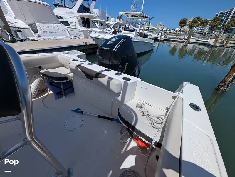 Slide: The Image of Sailfish 242 CC 2022 - 15344466