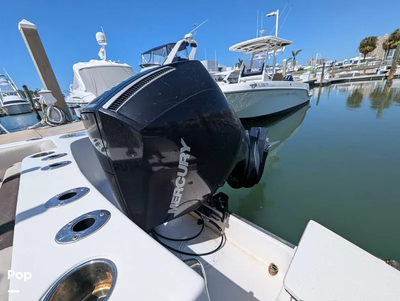 Slide: The Image of Sailfish 242 CC 2022 - 15344474