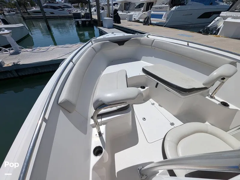 Slide: The Image of Sailfish 242 CC 2022 - 15344318