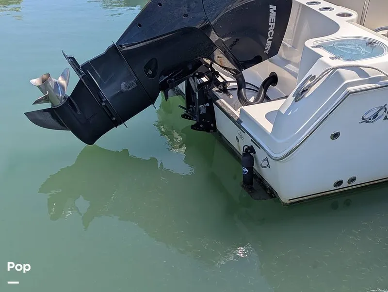 Slide: The Image of Sailfish 242 CC 2022 - 15344482