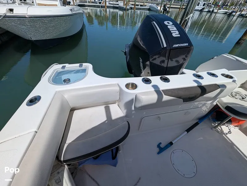 Slide: The Image of Sailfish 242 CC 2022 - 15344476