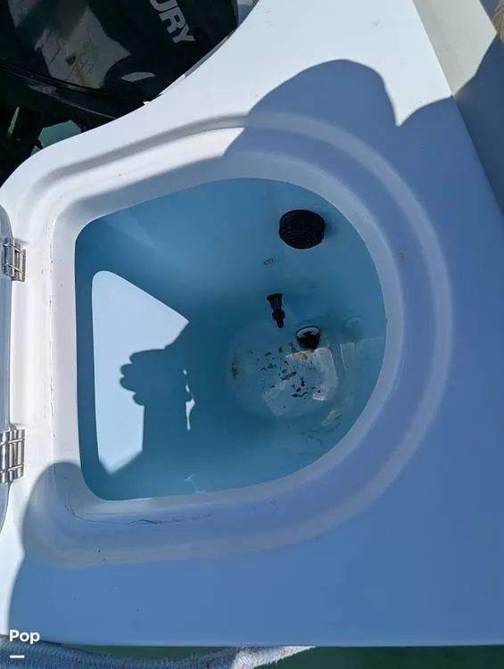 Slide: The Image of Sailfish 242 CC 2022 - 15344479