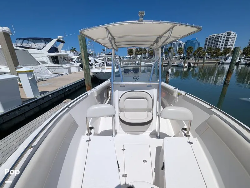 Slide: The Image of Sailfish 242 CC 2022 - 15344315