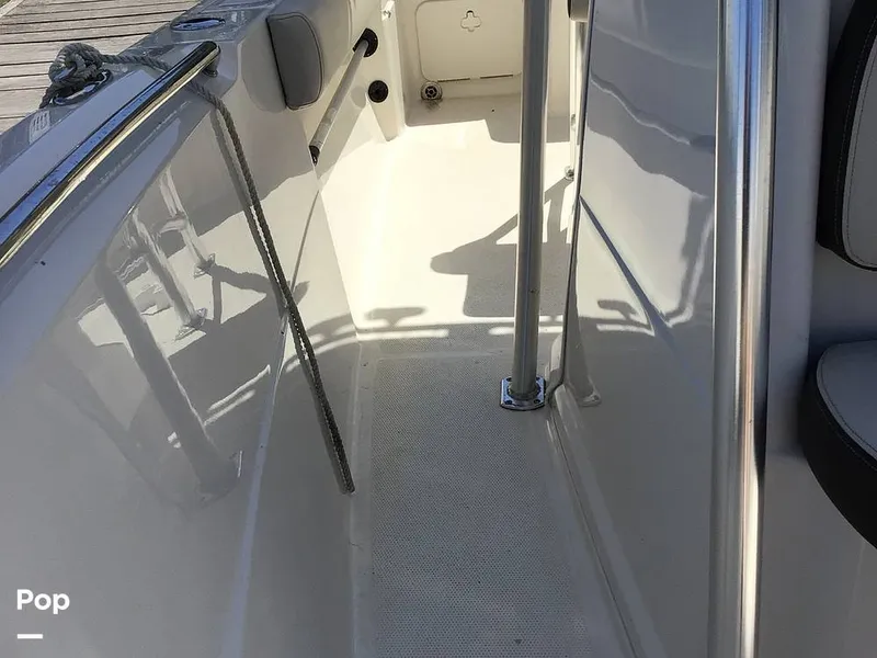 Slide: The Image of Sailfish 220 CC 2024 - 15363951