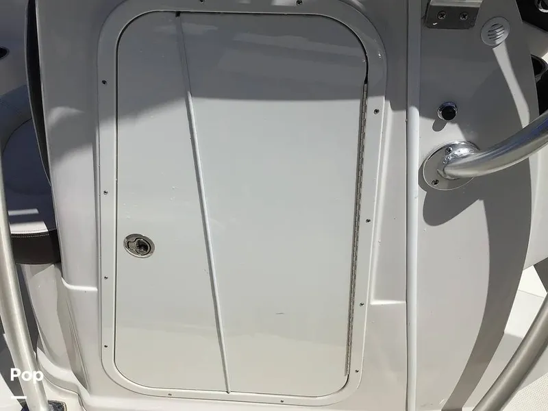 Slide: The Image of Sailfish 220 CC 2024 - 15363978