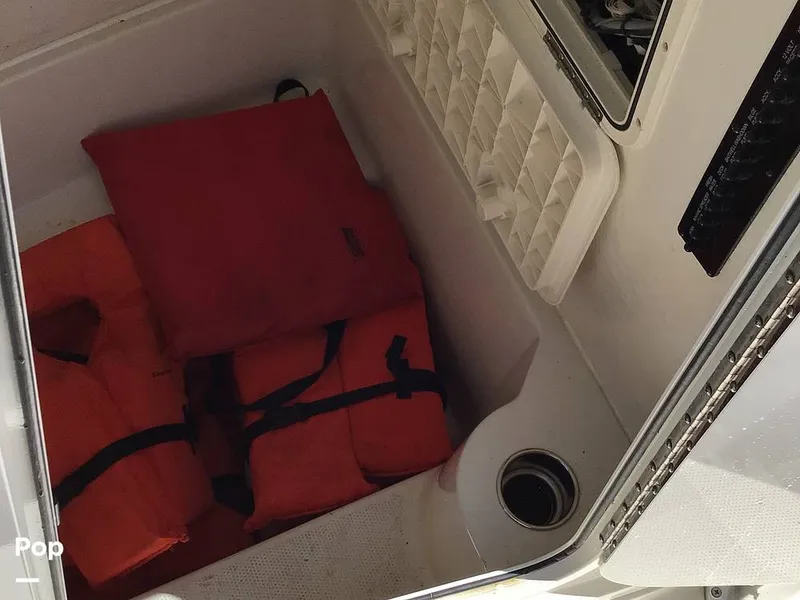 Slide: The Image of Sailfish 220 CC 2024 - 15363979