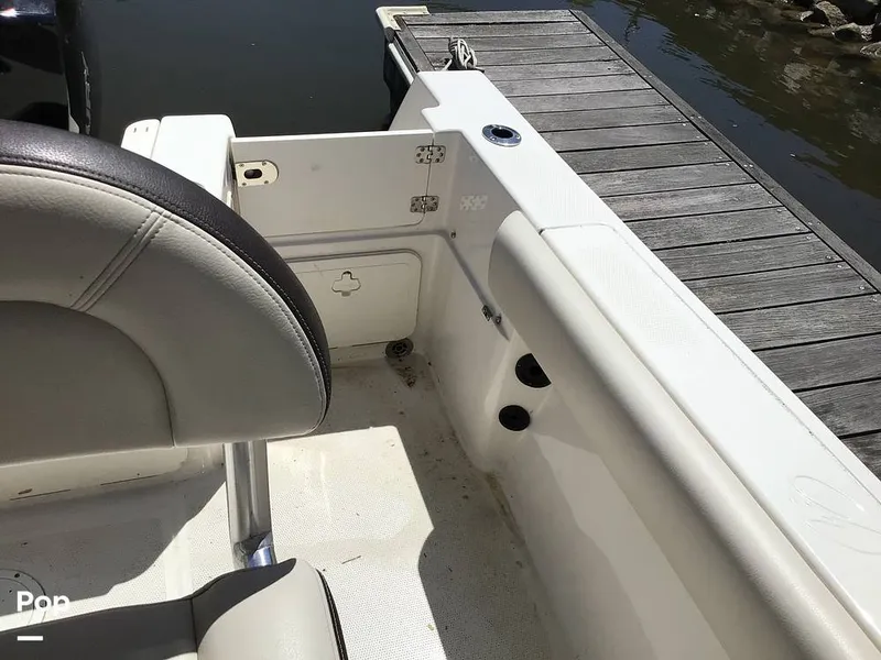 Slide: The Image of Sailfish 220 CC 2024 - 15363992