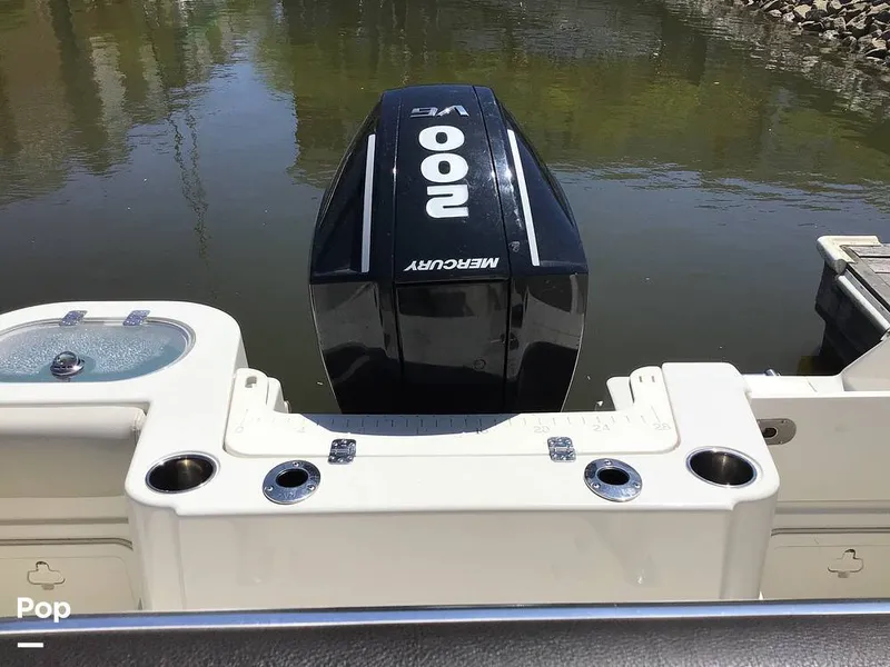 Slide: The Image of Sailfish 220 CC 2024 - 15363993