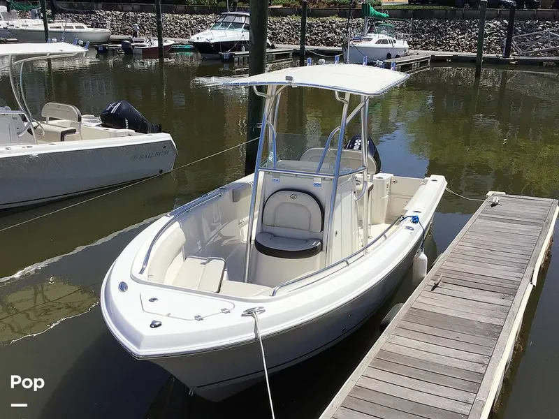 Slide: The Image of Sailfish 220 CC 2024 - 15363965