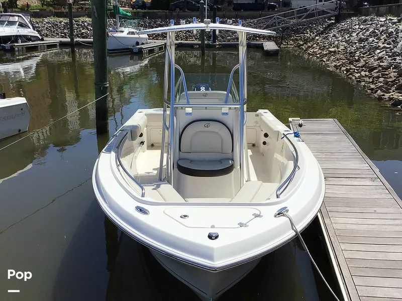 Slide: The Image of Sailfish 220 CC 2024 - 15363966