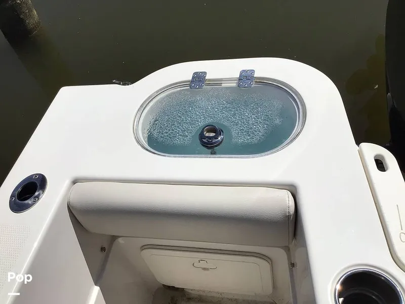 Slide: The Image of Sailfish 220 CC 2024 - 15364012