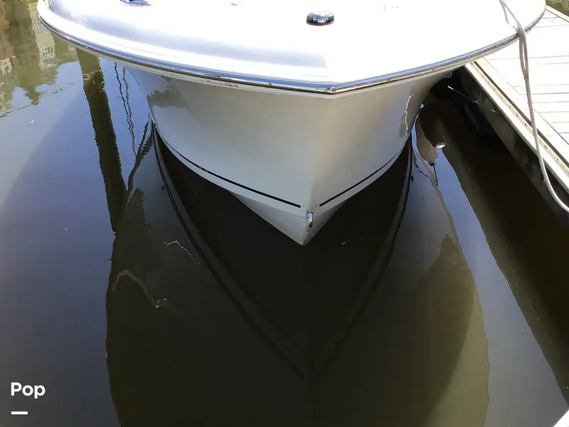 Slide: The Image of Sailfish 220 CC 2024 - 15363968