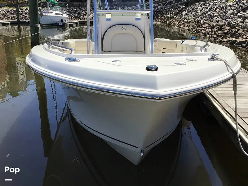 Slide: The Image of Sailfish 220 CC 2024 - 15363969