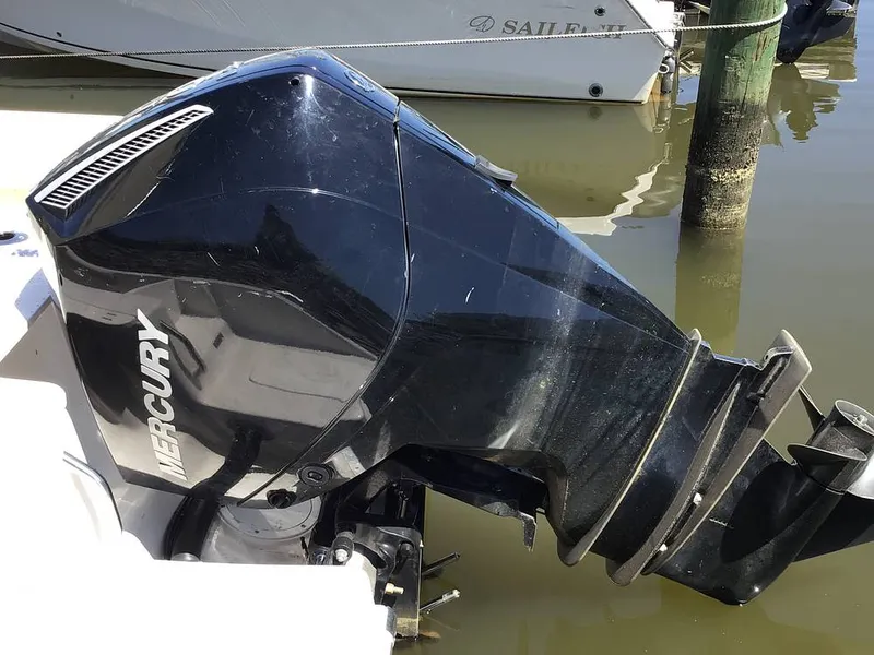 Slide: The Image of Sailfish 220 CC 2024 - 15363972