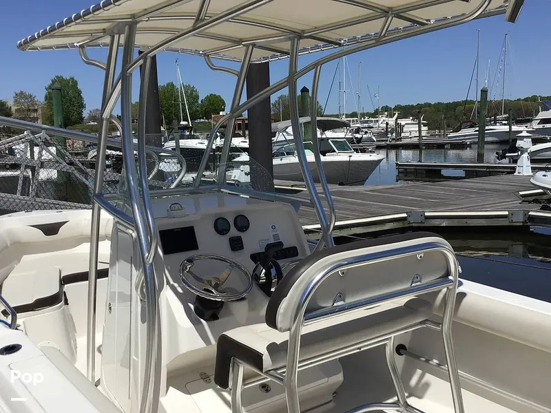 Slide: The Image of Sailfish 220 CC 2024 - 15363973