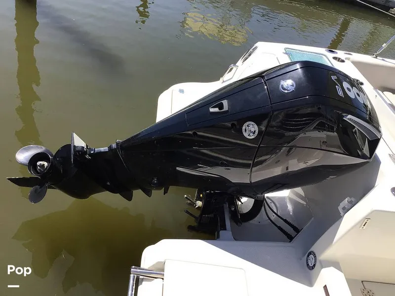 Slide: The Image of Sailfish 226 DC 2024 - 15364033